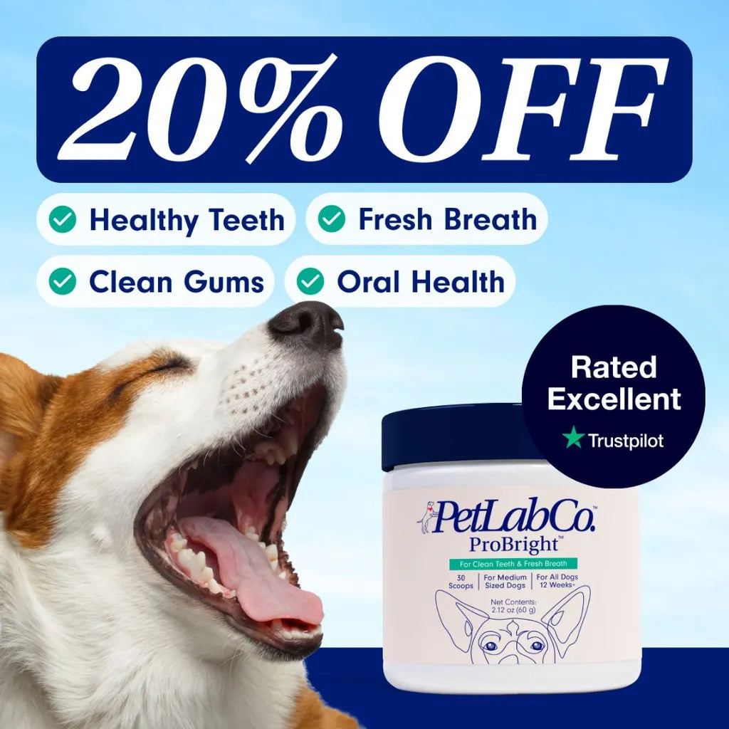 PetLab Co – Dog Dental Health Supplement Promo Ad