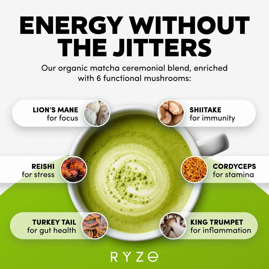 Ryze Mushroom Matcha Breakdown – Functional Benefits Highlight