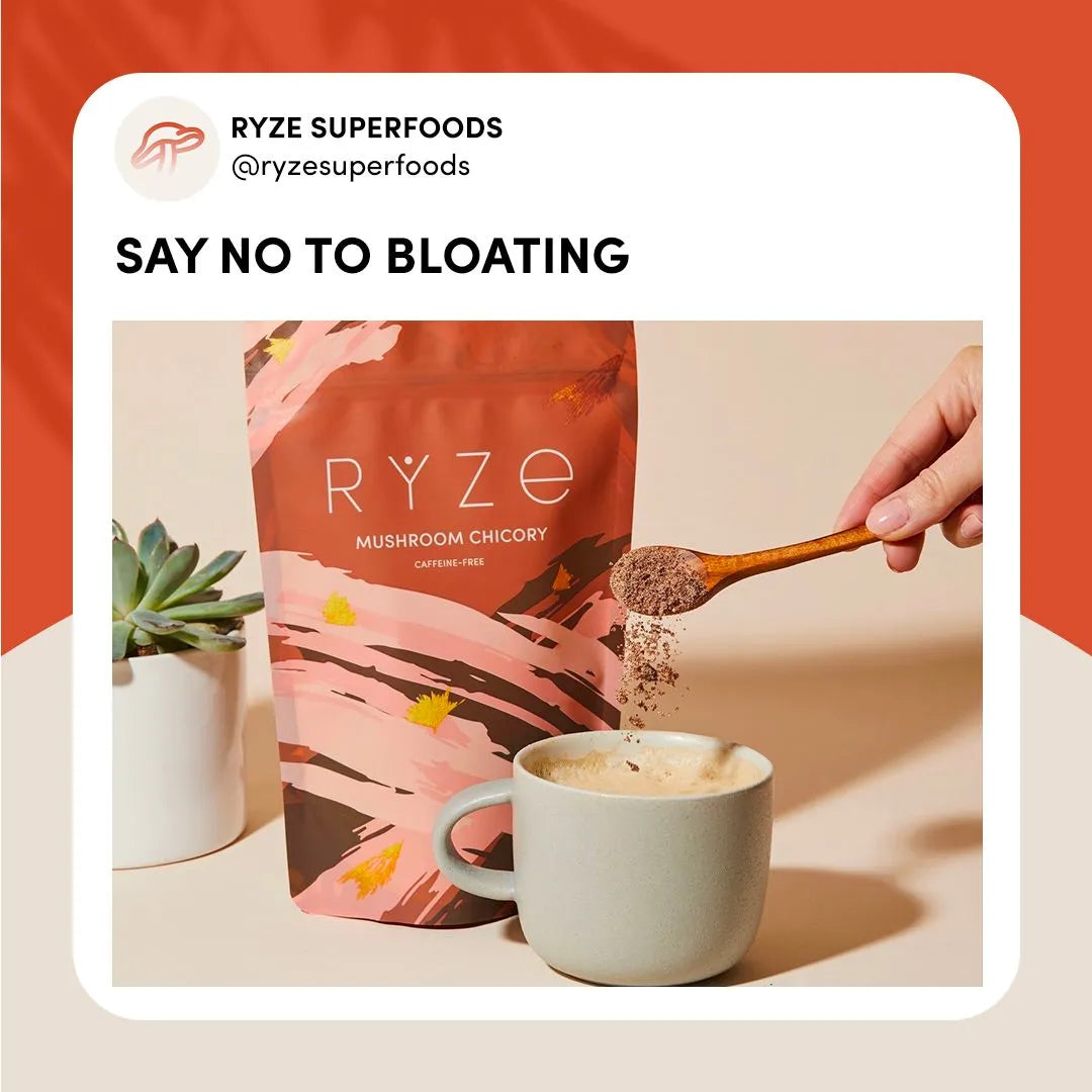 Anti-Bloating Mushroom Chicory Ad
